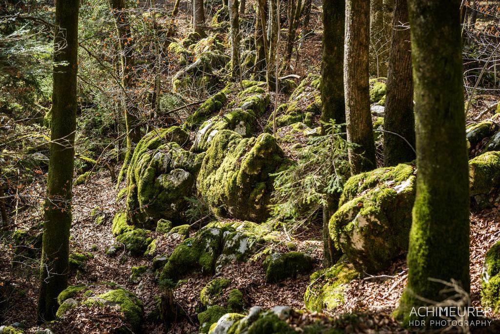 Landhotel Kirchenwirt ウンケン エクステリア 写真